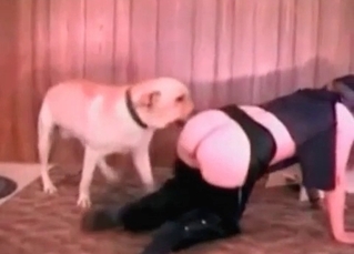 She is going mad while fucking with the animal