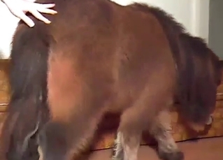 Load of jizz from a great beast