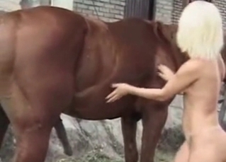 Lovely model is playing with the horse