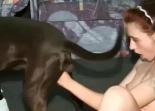 Skinny dog is getting involved in a fuck session