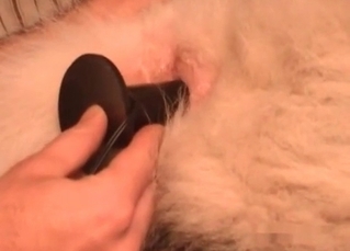 Sensational fingering session for a pet