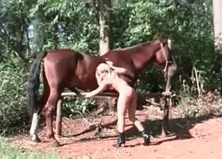 Striptease session with the muscled horse