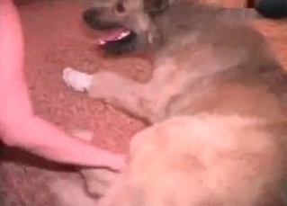 Sensual MILF is playing with the puppy