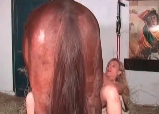 Lustful woman is playing with the stallion